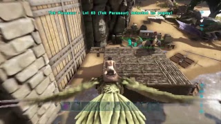 Ps4 実況放送  初見歓迎！？　ARK 　アイランド里帰り編　ひたすら資源集め