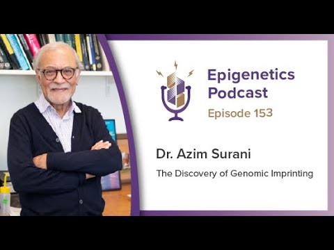 Epigenetics Podcast #153 - The Discovery of Genomic Imprinting with Azim Surani