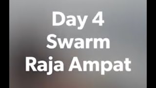 Day 4, Swarm, Raja Ampat