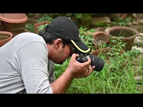 NIKKOR Z MC 105 demonstration by Kallol Mukherjee