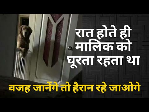 Raat Hote Hi Malik Ko Ghurta Tha Emotional Dog Story In Hindi By Know Our World