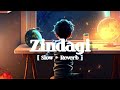 Zindagi | Shavy Vik | Slow + Reverb | Lofi