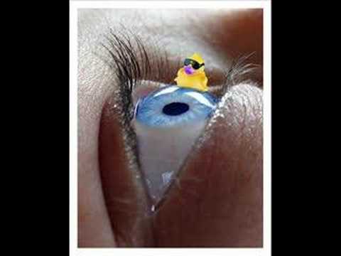 Alle meine Entchen (Tekkno)