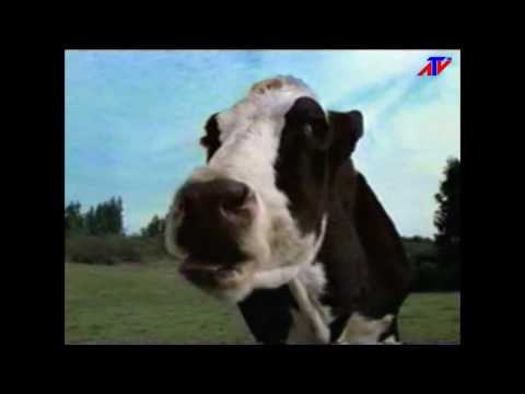 2003 COMERCIAL DOBLON me comeria una vaca entera