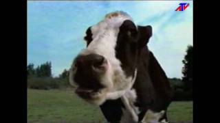 Comercial Doblón - Me comería una vaca entera (2003)
