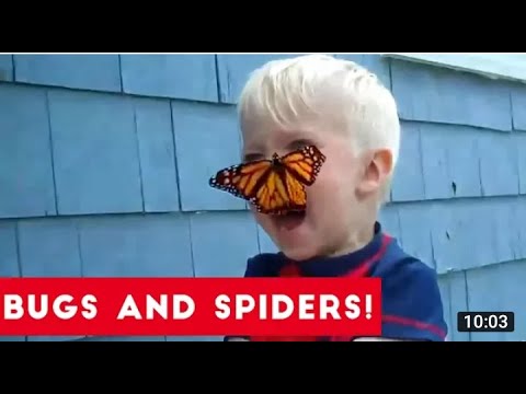 The Weird Story Behind BUGS | TROLLING people | FUNNIEST FAILS and REACTIONS |🤣🤣🤣🤣