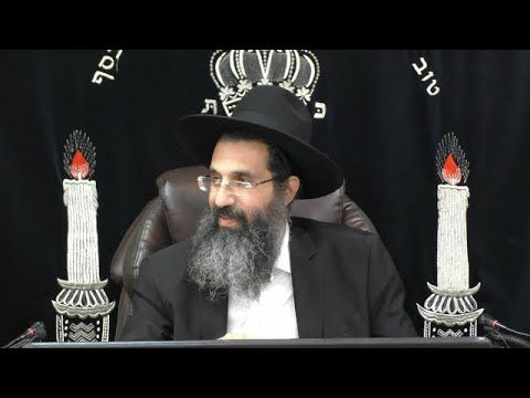 כוחנו באחדותנו 🕊 הרב שי עובד | שני - פרשת נח - תשפד