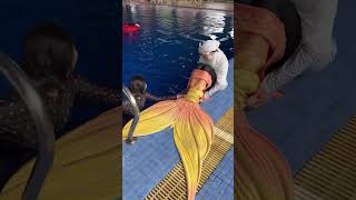 Download lagu Cobain Mermaid tail 11kg Di kolam 16 meter !! mp3 Download lagu Cobain Mermaid tail 11kg Di kolam 16 meter !! mp3