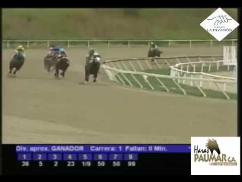 LA RINCONADA 1 CARRERA. DOMINGO 08 DE ENERO 2016