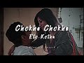 Chokhe Chokhe Eto Kotha ( চোখে চোখে এতো কথা ) 🌸❤️ | LoFi Song ✨ | Slowed and Reverb