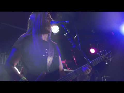 Tequila Mockingbyrd - everyone down