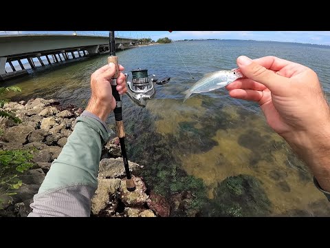 Florida Early Summer Surf Fishing Till I Get On A Bite!!