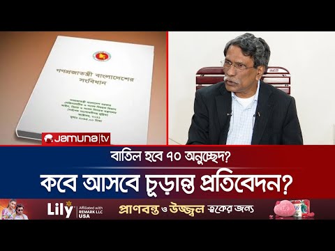 'সংবিধানের প্রস্তাবিত সংস্কার রাজনীতিবিদরাই বাস্তবায়ন করবেন' | Ali Riaz on Constitution | Jamuna TV