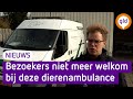 Dierenambulance sluit poorten om vogelgriep: 'Zo min mogelijk risico lopen'