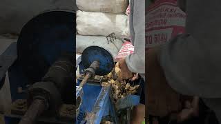 Download lagu Kok jadi susah gini yaa😌, untung aja udah profesional jadi berhasil deh ngupas kelapanya mp3