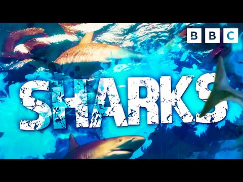 Voiceovers YouTube video thumbnail - CBBC Trailer Tagline