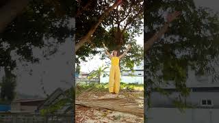 サムイ島【感謝】