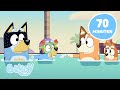 LIVE Bluey Lustige Momente Mit Der Familie 70 MINUTEN GANZE FOLGEN Bluey
