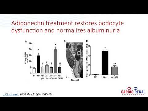 proteinuria és magas vérnyomás