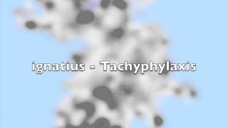 ignatius - Tachyphylaxis