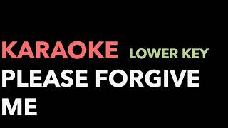 Please Forgive Me - Bryan Adams (Karaoke version - lower key)