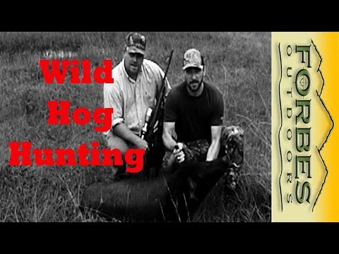 Wild Hog Hunting