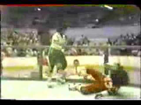 roller derby fight; Donna Young