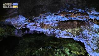 Die Höhlen von São Vicente