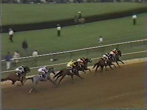 1980 Preakness Stakes: Another Angle Of "The Controversy"