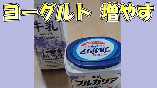 おうちで簡単にヨーグルトを増やしてみる#shorts
