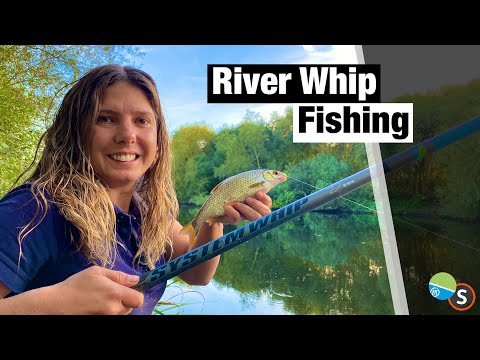 River Whip fishing - Get A Bite Every Cast