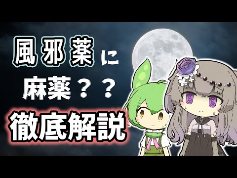 ドロヴィ (ダニロヴグラド)について詳しく解説