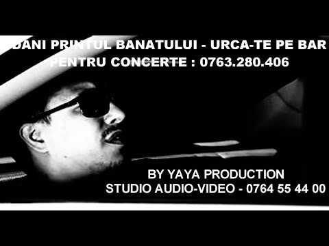 DANI PRINTUL BANATULUI  - URCA-TE PE BAR | Official Audio