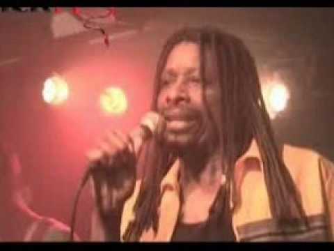 טוני ריי- שמנמנה