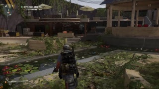 [Division2β]ディビジョン2　プライベートβプレイ