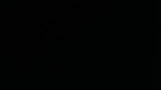 Would You Be My Lady David Allan COE