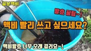 직접만든 액비 단기간에 사용 할 수 있는 방법은 없을까? 액비발효꿀팁! 골분액비 생선액비 인산가리액비 등 퇴…