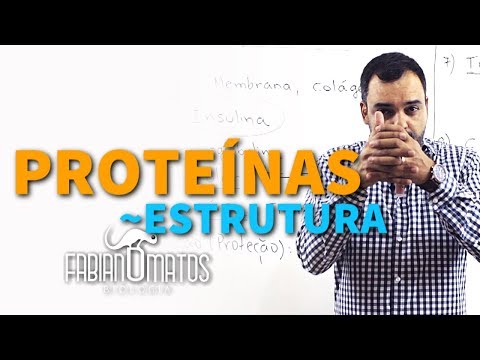 Proteínas - estrutura | Fabiano Matos Biologia