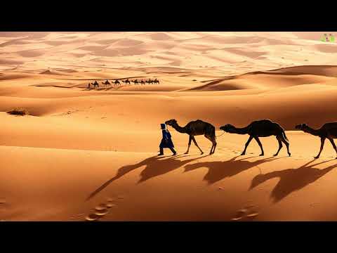 İPEKYOLU FON MÜZİĞİ, İPEKYOLU MÜZİĞİ, RAHATLATICI FON MÜZİĞİ, DUYGUSAL FON MÜZİKLERİ