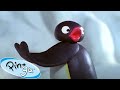 Adventures Of Pingu Pingu Official Channel Cartoons For Kids