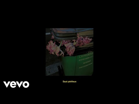 Lujipeka - Saut périlleux (Lyrics Video)