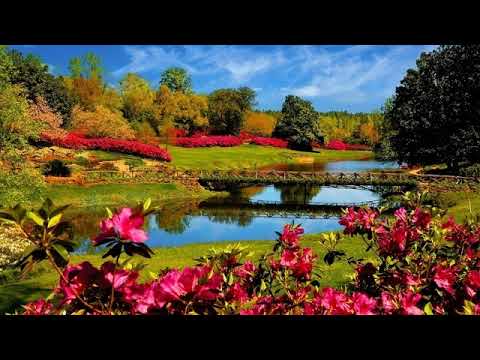 04 E sarbatoare # Familia Mandici # Am stat la sfat cu Domnul