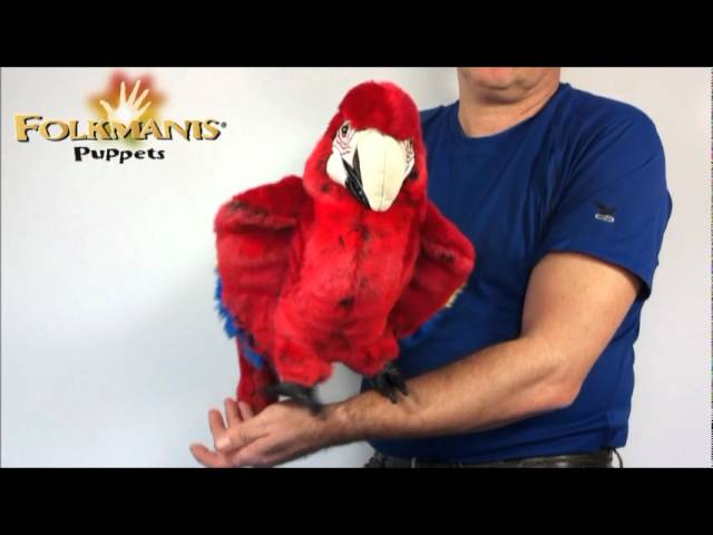 Video Teaser für 2362 Folkmanis Scarlet Macaw