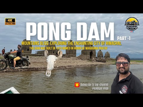 Pong Dam Vlog Part 1 - A Spiritual Journey Begins