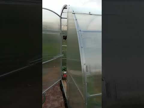 Теплица Усиленная Люкс 3х6 м, простояла 1 зиму