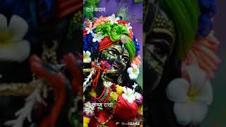 achyuTam Keshavam Krishna damodaram#Best WhatsApp Status video song#Banke Bihari#Shri krishna radhe