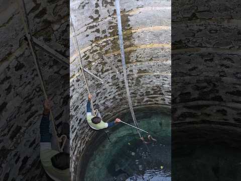 बहुत ही रिस्क होता है कुवा में से साप को निकालना