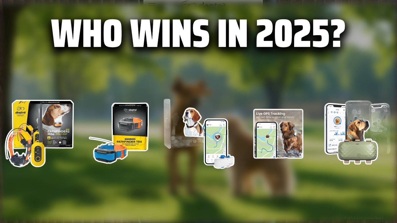 The Top 5 Best Pet Tracker in 2025 - Must Watch Before Buying!