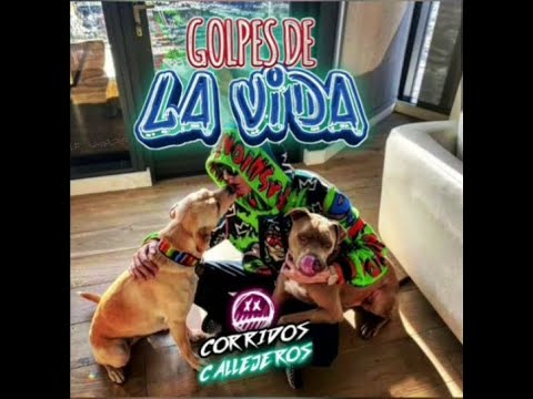 Natanael Cano FT  Ivonne Galaz — Golpes De La Vida (LETRA)