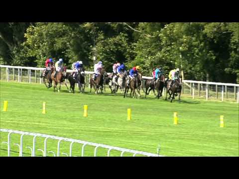 2013 Artemis Goodwood Cup - Brown Panther